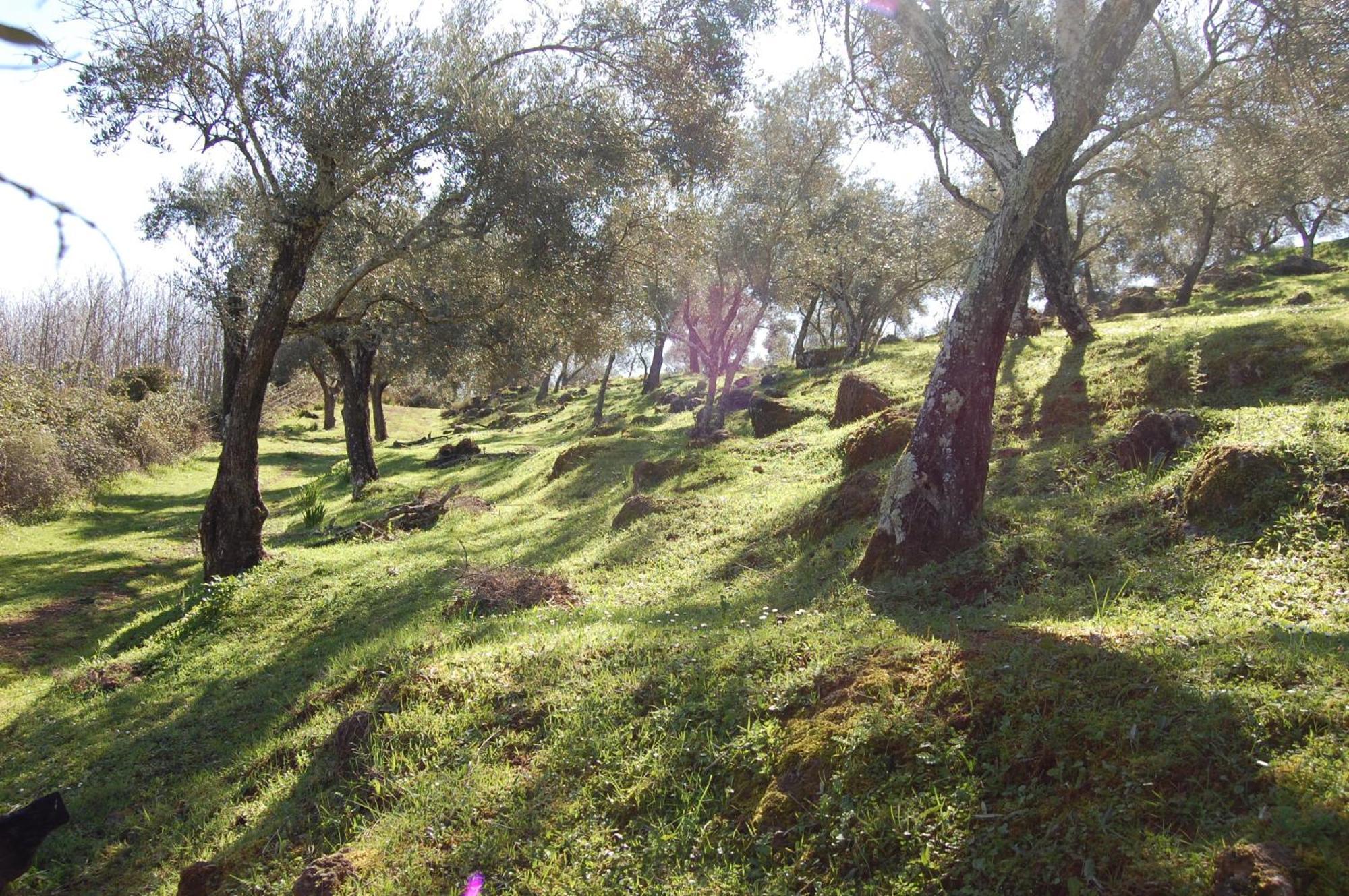 Los Pozos De La Nieve Константина Екстериор снимка